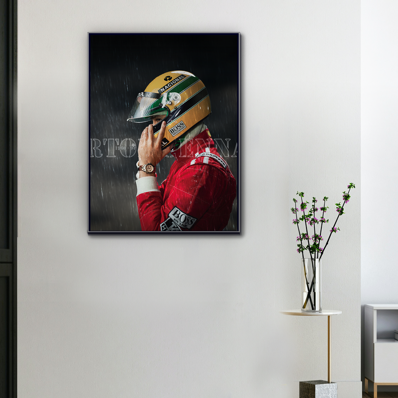 F1 Inside Ayrton Senna's Mind Canvas, view 1