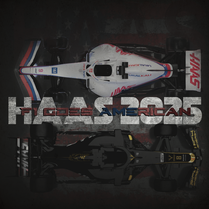 F1 Canvas Haas America in a Straight Line, view 2